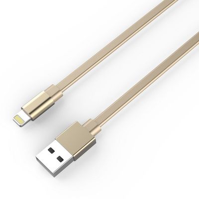 USB A To Lightning 2.4A MFI 3ft Lightning Cable Charger